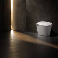 Toilette intelligente avec bidet intégré, lavage à l'eau chaude, pression réglable, siège chauffant, buse autonettoyante, chasse d'eau automatique, séchage à l'air