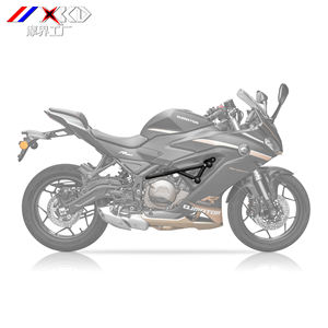 Para QJMOTOR Race 350, barra de choque para motocicleta, parachoques, Tubular cuerpo lateral, protector de motor, juego de cubierta de alfombra, accesorios - Product Image 3