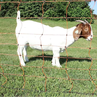 Filet électrique anti-collision en HDPE stabilisé aux UV pour le bétail, idéal pour les moutons, les chèvres et les grands animaux de ferme, hauteur personnalisable