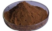 Poudre d'extrait de Phyllanthus Niruri 10:1 20:1, poudre d'herbes soluble dans l'eau pour complément alimentaire