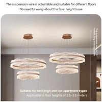 Lustre LED de luxe en forme de double anneau, style boucle d'oreille, grand luminaire suspendu pour cuisine et usage commercial