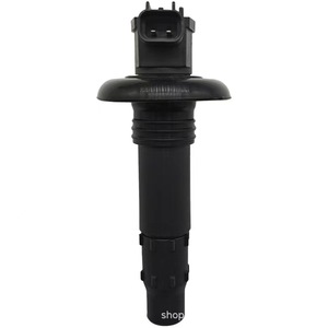 Bobine d'allumage haute tension Jilong 2 cylindres pour moteur de bateau Seadoo 2002 GTX 4 TEC 5573 5574 5593 5594 – Pièce de rechange - Product Image 1