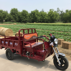 2026 Contenitore di Stoccaggio Grande, Vendita Diretta dalla Fabbrica, Produttore di Tricicli Elettrici Domestici e Veicoli Agricoli per Trasporto Merci - Product Image 5