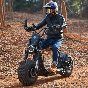 Nueva Bicicleta Eléctrica Unisex de 3000w, Scooter HD CRUISER, Scooter de Nieve de 1000w, Venta al Por Mayor - Product Image 4