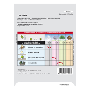 Graines de lavande aromatiques (0,5 grammes) - Product Image 2