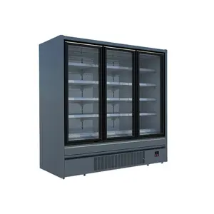 Équipement de réfrigération de supermarché commercial présentoir congélateur vertical pour aliments surgelés rapides