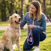 Ensemble collier et laisse pour chien personnalisés avec logo, en PVC imperméable, avec breloques amovibles DIY, laisse de luxe réglable pour animaux de compagnie