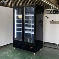 Congélateur vertical commercial à 2 portes vitrées, sans givre, de -22°C à 0°C, avec vitre chauffante anti-buée