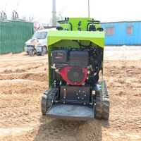 Mini-dumper chenillé chinois économique 650 kg avec pompe hydraulique, moteur à engrenages haute efficacité et puissance de 13,5 kW