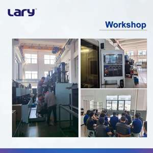 LARY Máquina de Moldeo por Compresión de Caucho de Alta Precisión con Control PLC Automático y Ahorro de Energía para Bujes, Cubiertas Antipolvo y Sellado - Product Image 5