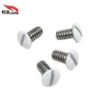 Tornillos de máquina de cabeza redonda ranurada pintados en blanco personalizados para espejos de baño, armarios y paneles de ducha