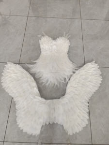 כנפי נוצות זהובות לבנות פופולריות של פאנטויס, ערכת עשה זאת בעצמך לצביעת כנפיים, אביזרי קוספליי למבוגרים, לצילומי חתונה ואירועים אחרים - Product Image 2