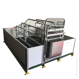 Jaula de animales para granja, jaula de cerdo para <span class=keywords><strong>embarazo</strong></span> - Product Image 6