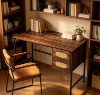 Escritorio de PC Moderno y Sencillo para Estudiantes, Escritorio de Computadora de Madera con Cajones, Mesa de Oficina en Casa, Escritorio de Estudio con Patas de Metal y Ratán