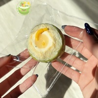 Jouet Squishy en Silicone en Forme de Noix de Coco à Remontée Lente, Anti-Stress Sensoriel Kawaii Unisexe, Cadeau pour 14 Ans et Plus, Vente en Gros