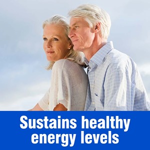 OEM ODM Bulk Prebiotics Fiber Powder Plant Fiber <b>Supplement</b> Bowel Regularity Gut Health Support Healthy Digestion - Product Image 6