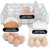 Paquet de 6 cartons d'oeufs jetables en boîte en plastique d'oeufs Canada à vendre Carton d'oeufs