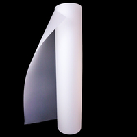 Film de transfert Dtf prix usine 63cm Double mat Hot Peel pour l'impression textile
