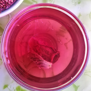 Té de Hierbas Saludable, Rodajas de Fruta Seca de <span class=keywords><strong>Opuntia</strong></span> Ficus-indica, Nopal, Cactus, en Venta - Product Image 5