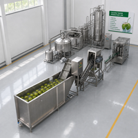 Hoge Efficiëntie Groene Kokosnoot Ontschil- en Sapextractie Sterilisatie Vullen Verpakken Productielijn