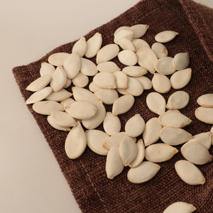 Nihewan 11Cm Hữu Cơ Tuyết Trắng Bí Ngô Hạt Giống Nguyên Khô Trung Quốc Hạt Giống Bí Ngô Giá - Product Image 6