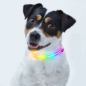 USB ajustável LED Dog Collar com Quick Release Feature tamanho personalizado impressão padrão fitas decorativas - Product Image 1