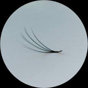 Camellia 4D Éventails de cils en vison noir Extensions de cils préfaites et douces avec logo personnalisé Prix de gros - Product Image 3