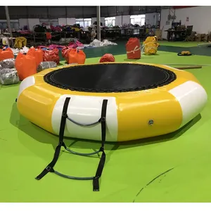 Trampoline aquatique gonflable en bâche PVC Sungear, modèle T11, logo personnalisé, utilisation en parc aquatique extérieur, T11 personnalisable - Product Image 1
