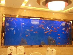 Forma personalizzata cilindro rettangolo trasparente acquario di pesce serbatoio di vetro 2021 cina acquari e accessori 5l serbatoio di acqua di plastica pesce - Product Image 2