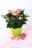 Pot de fleurs artificiel blanc mat pour décoration de mariage, accessoire multifonctionnel, pour le sol d'un hôtel, support pour jardin, bonsaï, macetas