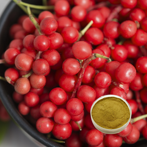Лучшая цена, прямые поставки с завода: высококачественный натуральный экстракт шизандры китайской (9% шизандринов), 25 кг в бочке - Product Image 5