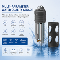 Analizador de Calidad del Agua Multiparamétrico en Línea RS485 GPRS Wifi Lorawan, Sensor de Monitoreo en Línea de OD, pH, ORP, COD y Amoníaco para Ríos