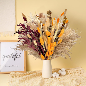 Dried Flowers Dry <strong>Pampasgrass</strong> Decoration Natural Pampas Grass Bouquet for Home Bohemian Autumn - Product Image 1