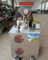 Machine automatique de fabrication de nouilles de riz, extrudeuse de nouilles de maïs et de vermicelles, machine à vermicelles de riz