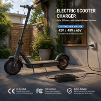 Cargador Inteligente de Batería para Scooter Eléctrico de 42V 2A, para Paquete de Baterías de Iones de Litio de 36V, con Indicador LED Inteligente, Suministro de Carga de Energía, de Fábrica