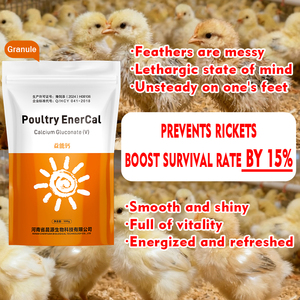Complément alimentaire pour volailles EnerCal - Calcium chélaté aux acides aminés pour la qualité des coquilles <span class=keywords><strong>d</strong></span>'œufs et la croissance osseuse - Additifs alimentaires pour volailles - Product Image 2