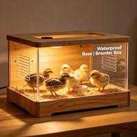 Boîte d'élevage pour cailles en acrylique avec base en bois imperméable, petite cage transparente pour l'élevage de bébés cailles et de poussins