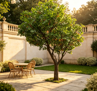 Grand arbre artificiel naturel unique pour décoration intérieure, grand ficus artificiel en forme d'arche, arbre banian vert, plantes durables en fibre de verre