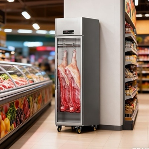 Vitrina Refrigerada Vertical Comercial de Una Puerta, de Acero Inoxidable, con Enfriamiento Directo por Aire, Eficiencia Energética A+, para Carne de Cerdo, Res y Cordero - Product Image 3