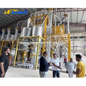 Machine de mouture de farine de maïs à faible entretien pour la transformation des céréales, pour la production de farine blanche de haute pureté - Product Image 6