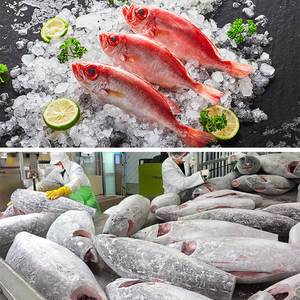Koelkamer Viskweekkamer/Supermarkt Restaurant Chilling Room Zeevruchten Opslag Koele Ruimte Voor Vis - Product Image 4