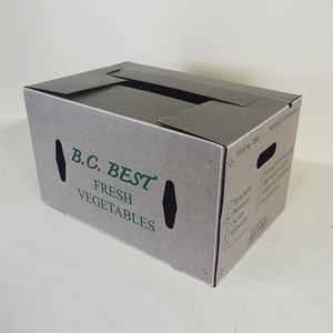 Tomate cirée Farm Fresh 50*40*30 Logo personnalisé - Product Image 2