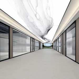 Fábrica Popular Hermosa Pintura <span class=keywords><strong>de</strong></span> <span class=keywords><strong>pared</strong></span> Tela <span class=keywords><strong>de</strong></span> <span class=keywords><strong>pared</strong></span> techo <span class=keywords><strong>de</strong></span> <span class=keywords><strong>tragaluz</strong></span> natural artificial - Product Image 5