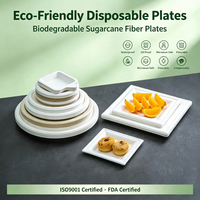 Assiette carrée jetable en papier biodégradable, écologique, moderne et minimaliste, pour service commercial, épaissie