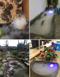 Mini Atomizzatore con 12 LED per Acquario, Umidificatore per Incubatrice, Nebulizzatore per Interni e Paesaggistica - Product Image 5