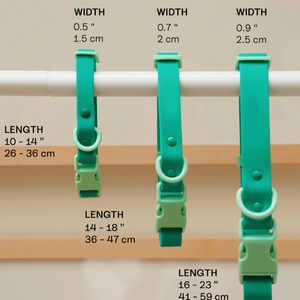 Sıcak satış canlı PVC köpek tasmaları ayarlanabilir Vegan deri tutuşunu toka küçük orta büyük köpekler için dayanıklı su geçirmez - Product Image 5