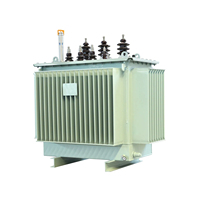 Proveedor de Transformadores de Distribución de Aceite de 10kv de Calidad Premium