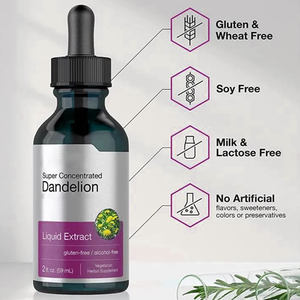 液体栄養タンポポ根液滴OEM卸売ハーブサプリメント - Product Image 2