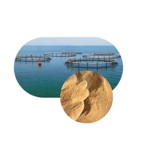 Bacillus Subtilis: un prometedor biofertilizante microbiano para la producción agrícola sostenible - Product Image 4