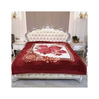 Hot Selling 100% Polyester Custom Nerz Bettwäsche Set Neues Design Modische Muster Raschel Decke 2-7kg Abdeckung